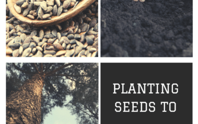 Planting Seeds to Grow!