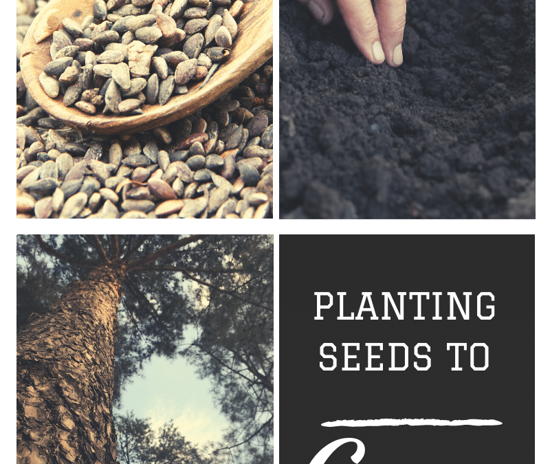 Planting Seeds to Grow!