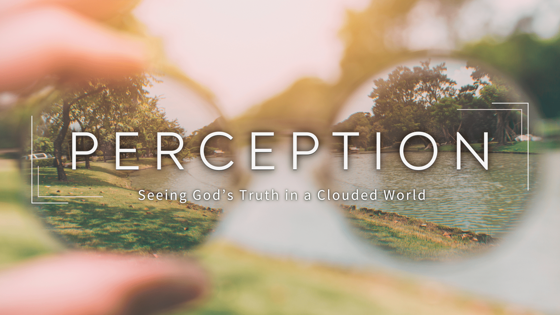 Perception